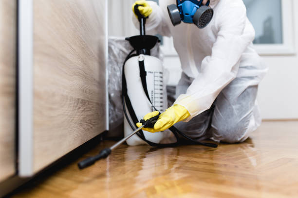 Best Mosquito Control Services  in Villas, NJ