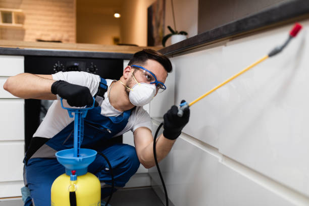 Best Bed Bug Extermination  in Villas, NJ