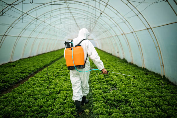 Best Residential Pest Control  in Villas, NJ