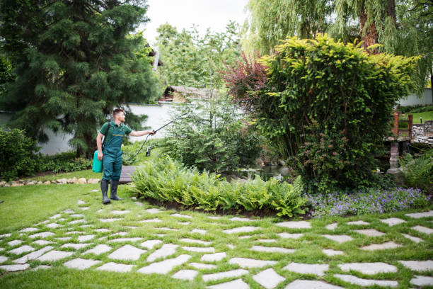 Best Affordable Pest Control Services  in Villas, NJ