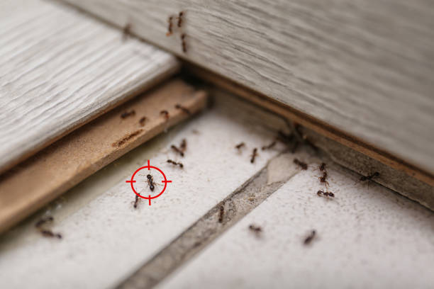  Villas, NJ Pest Control Pros