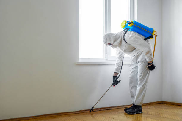 Best Pest Control Treatment  in Villas, NJ