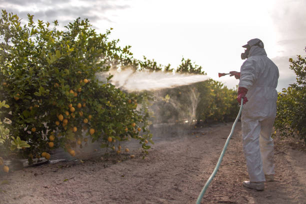 Best Rat Extermination Near Me  in Villas, NJ