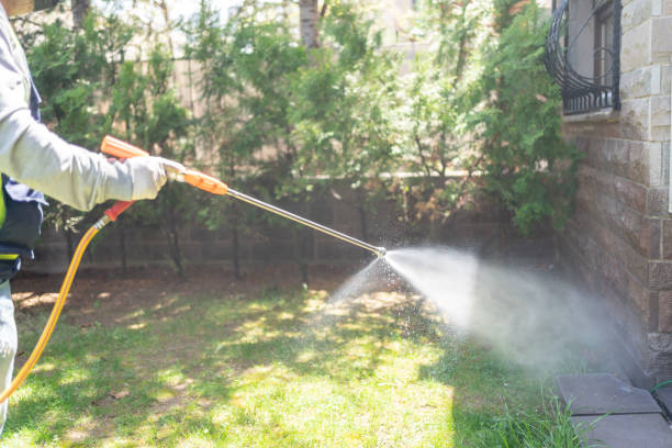 Best Insect Control  in Villas, NJ