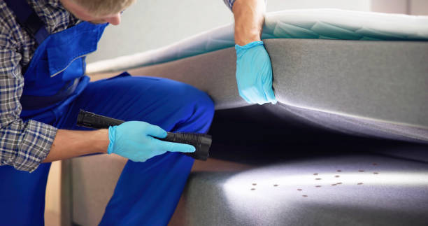 Professional Pest Control in Villas, NJ
