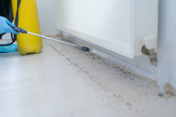 Best Emergency Pest Control  in Villas, NJ